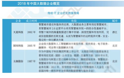 2018中國(guó)大數(shù)據(jù)企業(yè)報(bào)告出爐，天夏科技榮登IT企業(yè)大數(shù)據(jù)布局榜信息系統(tǒng)集成服務(wù)領(lǐng)域